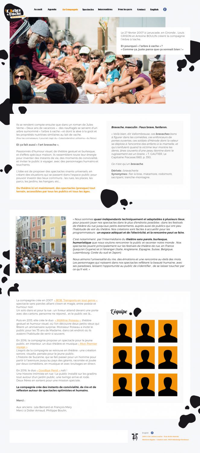 Refonte de site sous Wordpress - Webdesigner Bordeaux