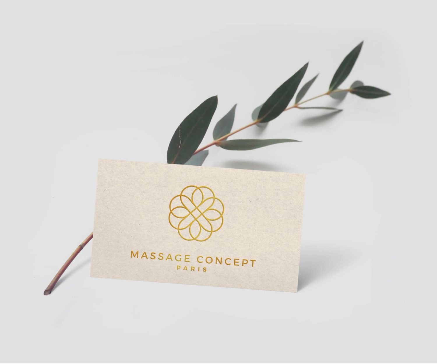 Création de logo et charte graphique SPA - BORDEAUX