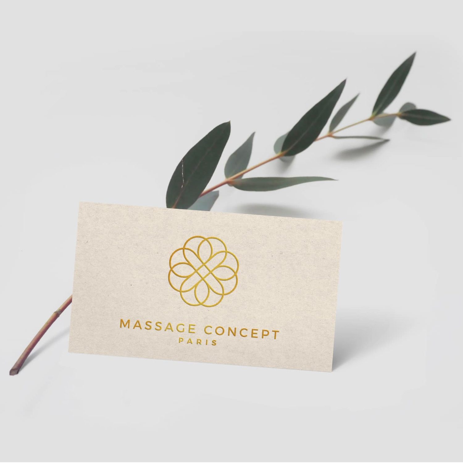 Création de logo et charte graphique SPA - BORDEAUX