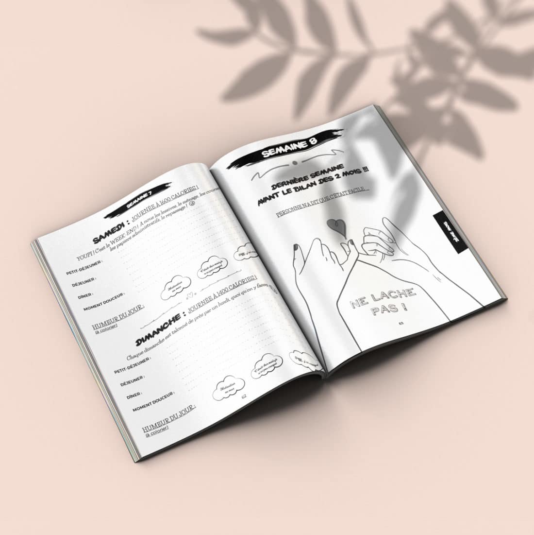  Mise  en page  livre  et graphisme  couverture LTG MGR 